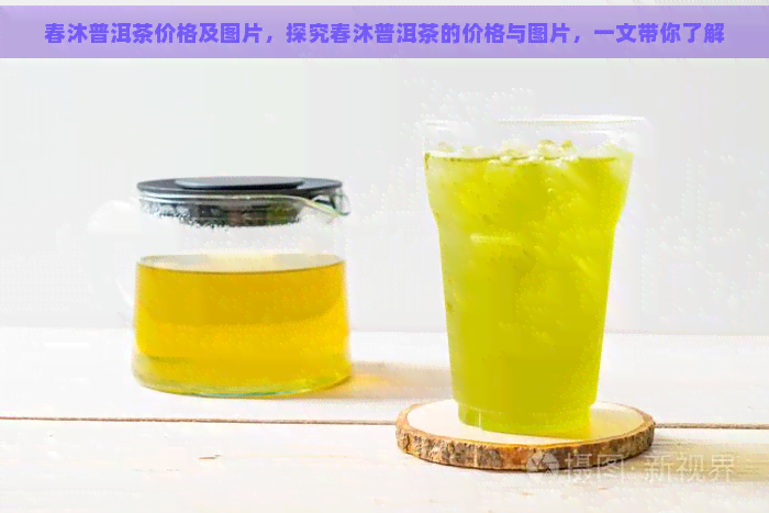 春沐普洱茶价格及图片，探究春沐普洱茶的价格与图片，一文带你了解