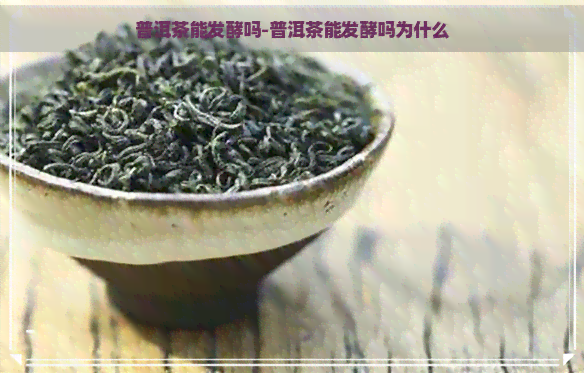 普洱茶能发酵吗-普洱茶能发酵吗为什么