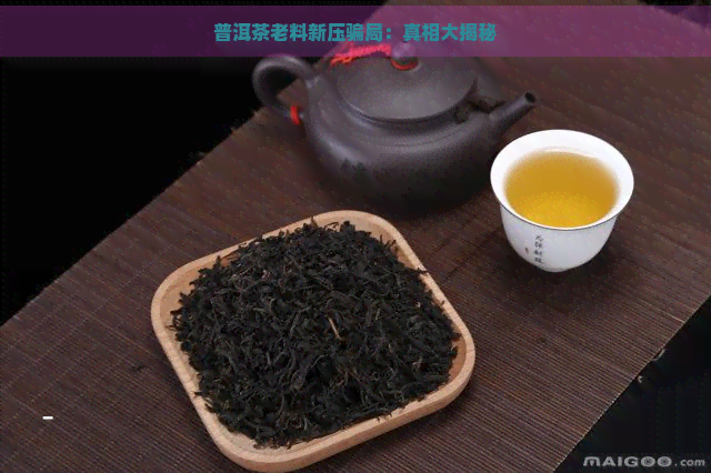 普洱茶老料新压骗局：真相大揭秘