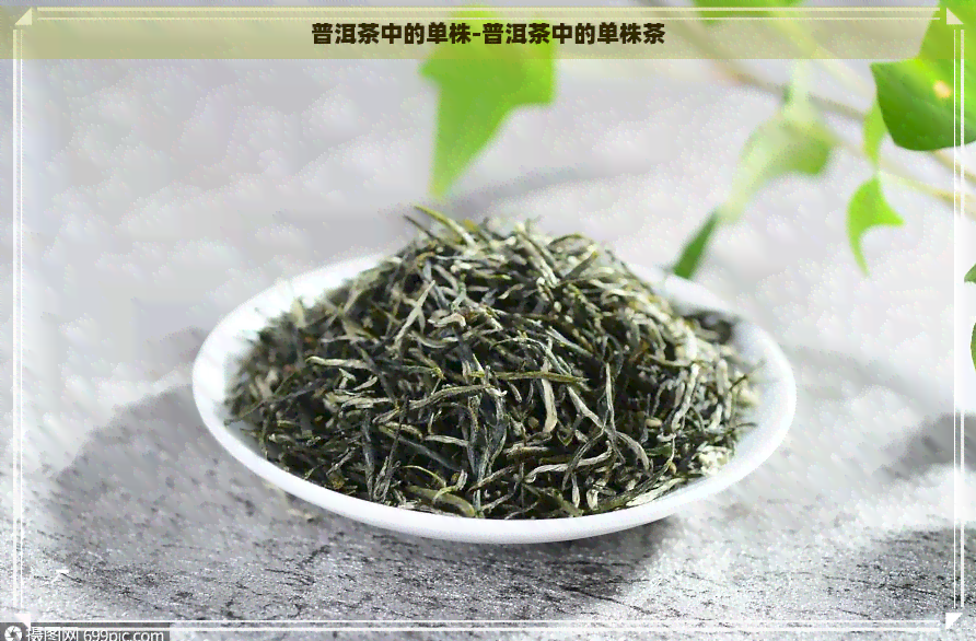 普洱茶中的单株-普洱茶中的单株茶