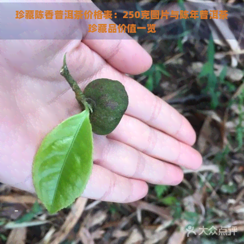 珍藏陈香普洱茶价格表：250克图片与陈年普洱茶珍藏品价值一览