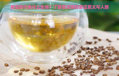 普洱茶代表什么生肖？了解普洱茶的象征意义与人群