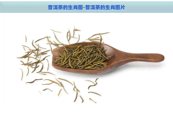 普洱茶的生肖图-普洱茶的生肖图片