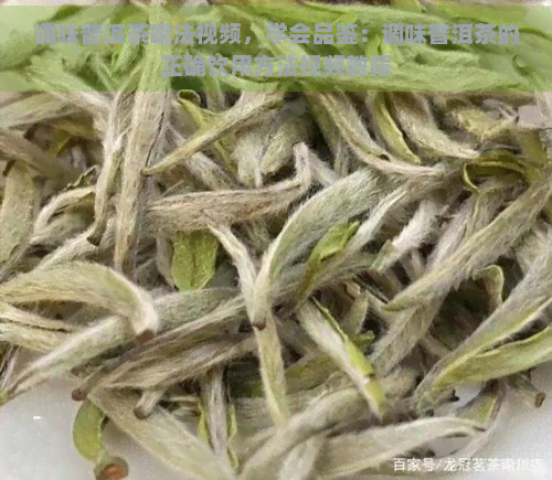 调味普洱茶喝法视频，学会品鉴：调味普洱茶的正确饮用方法视频教程