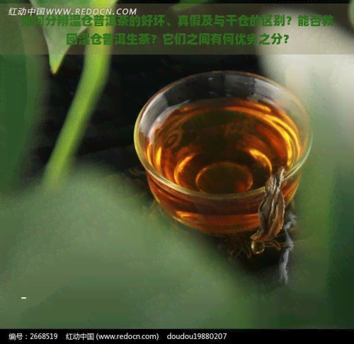 如何分辨湿仓普洱茶的好坏、真假及与干仓的区别？能否救回湿仓普洱生茶？它们之间有何优劣之分？