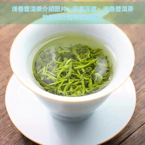 浅香普洱茶介绍图片，探索深度：浅香普洱茶的美丽介绍与精致图片