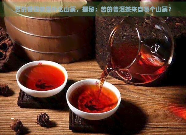 苦的普洱茶是什么山寨，揭秘：苦的普洱茶来自哪个山寨？