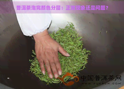 普洱茶泡完颜色分层：正常现象还是问题？