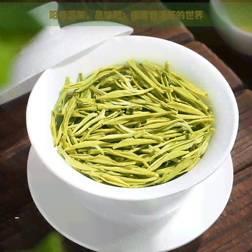 阳普洱茶，品味阳：探索普洱茶的世界