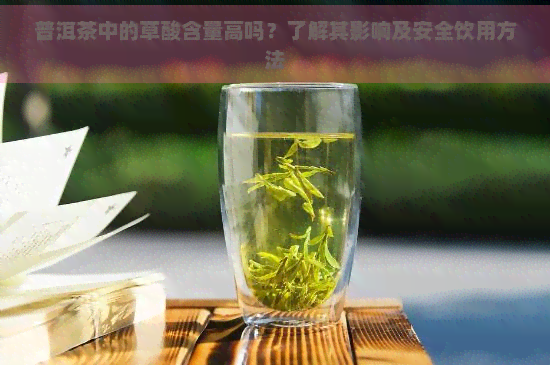 普洱茶中的草酸含量高吗？了解其影响及安全饮用方法