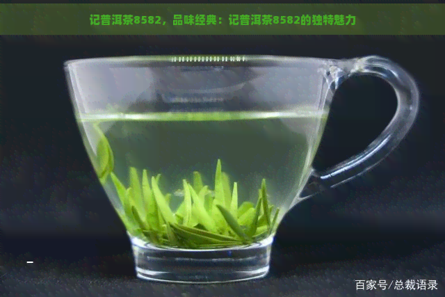 记普洱茶8582，品味经典：记普洱茶8582的独特魅力