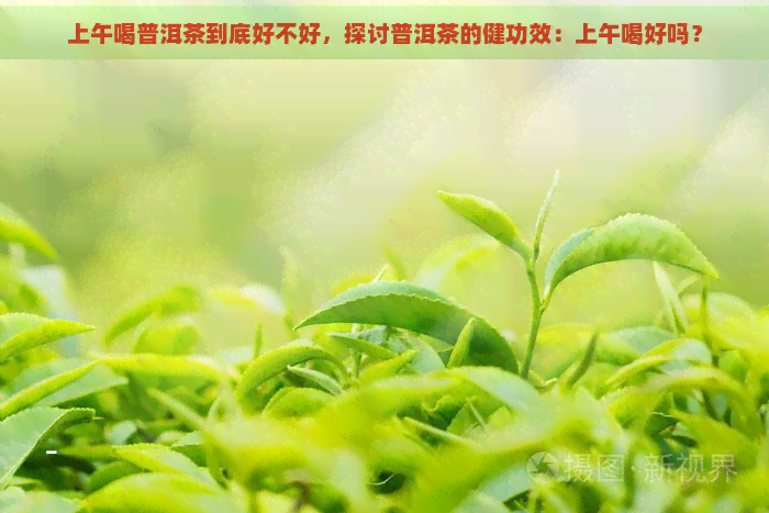 上午喝普洱茶到底好不好，探讨普洱茶的健功效：上午喝好吗？