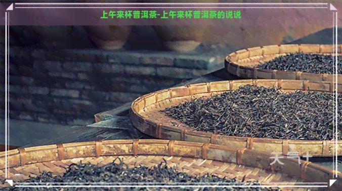 上午来杯普洱茶-上午来杯普洱茶的说说