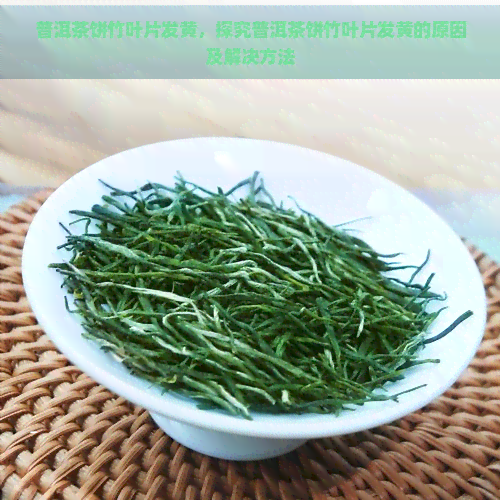 普洱茶饼竹叶片发黄，探究普洱茶饼竹叶片发黄的原因及解决方法