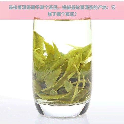 曼松普洱茶属于哪个茶区，揭秘曼松普洱茶的产地：它属于哪个茶区？