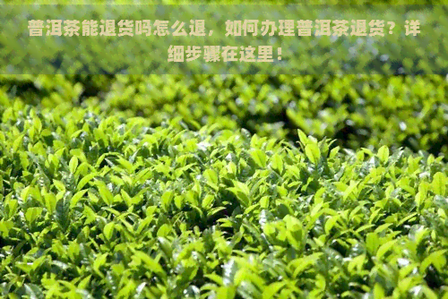 普洱茶能退货吗怎么退，如何办理普洱茶退货？详细步骤在这里！