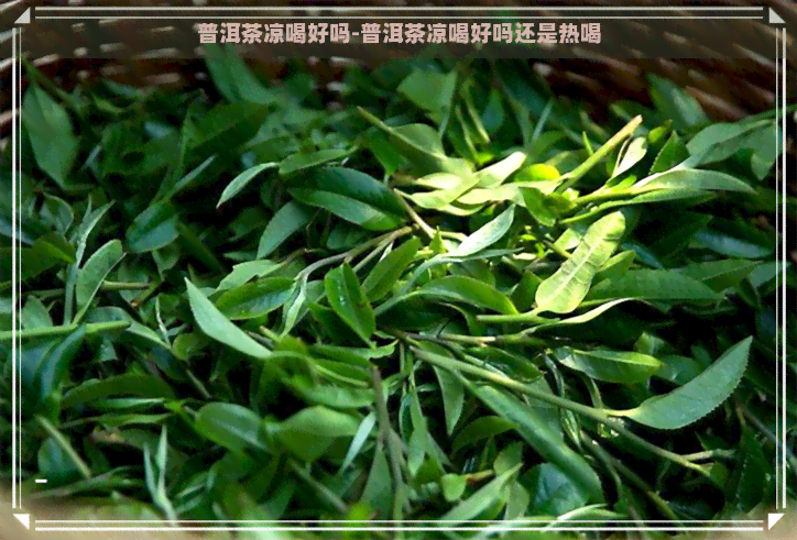 普洱茶凉喝好吗-普洱茶凉喝好吗还是热喝