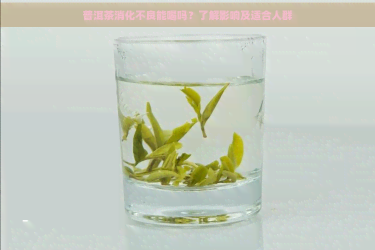 普洱茶消化不良能喝吗？了解影响及适合人群