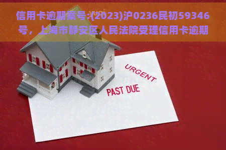 信用卡逾期案号:(2023)沪0236民初59346号，上海市静安区人民法院受理信用卡逾期纠纷案，案号为(2023)沪0236民初59346号