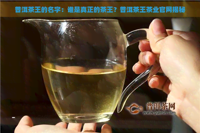 普洱茶王的名字：谁是真正的茶王？普洱茶王茶业官网揭秘