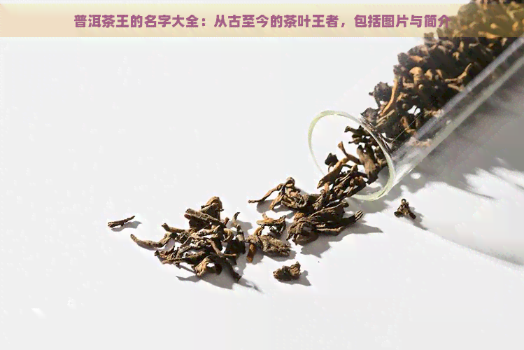 普洱茶王的名字大全：从古至今的茶叶王者，包括图片与简介