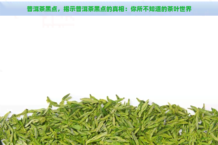 普洱茶黑点，揭示普洱茶黑点的真相：你所不知道的茶叶世界