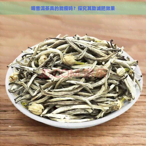 喝普洱茶真的能瘦吗？探究其助减肥效果