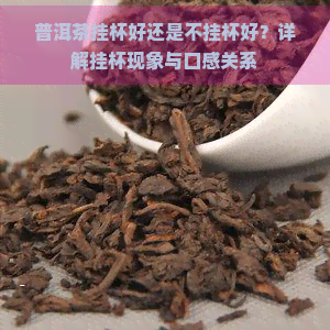 普洱茶挂杯好还是不挂杯好？详解挂杯现象与口感关系