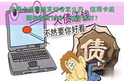 信用卡逾期被支付令怎么办，信用卡逾期收到支付令，如何应对？