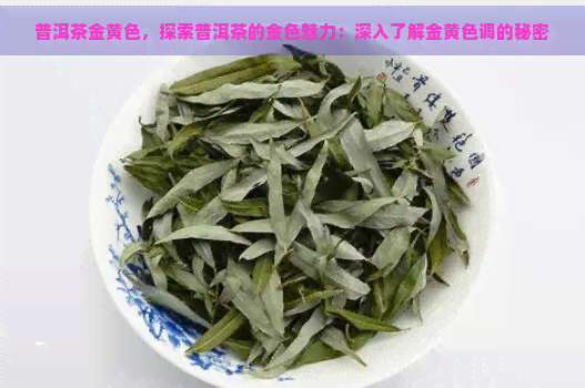 普洱茶金黄色，探索普洱茶的金色魅力：深入了解金黄色调的秘密