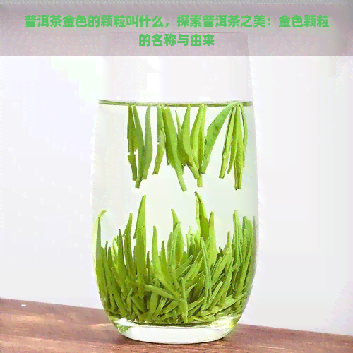 普洱茶金色的颗粒叫什么，探索普洱茶之美：金色颗粒的名称与由来