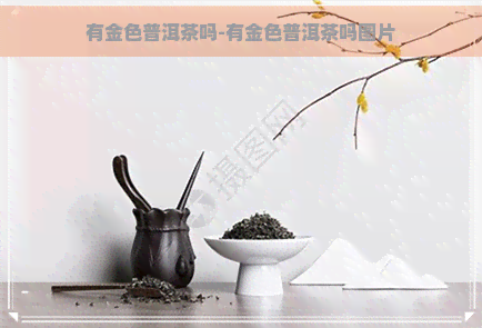 有金色普洱茶吗-有金色普洱茶吗图片