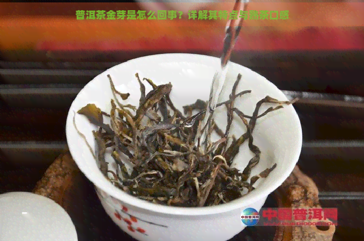 普洱茶金芽是怎么回事？详解其特点与熟茶口感