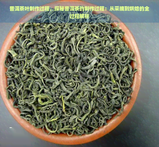 普洱茶叶制作过程，探秘普洱茶的制作过程：从采摘到烘焙的全过程解析