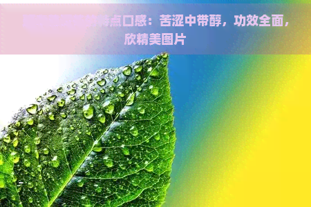 班章普洱茶的特点口感：苦涩中带醇，功效全面，欣精美图片