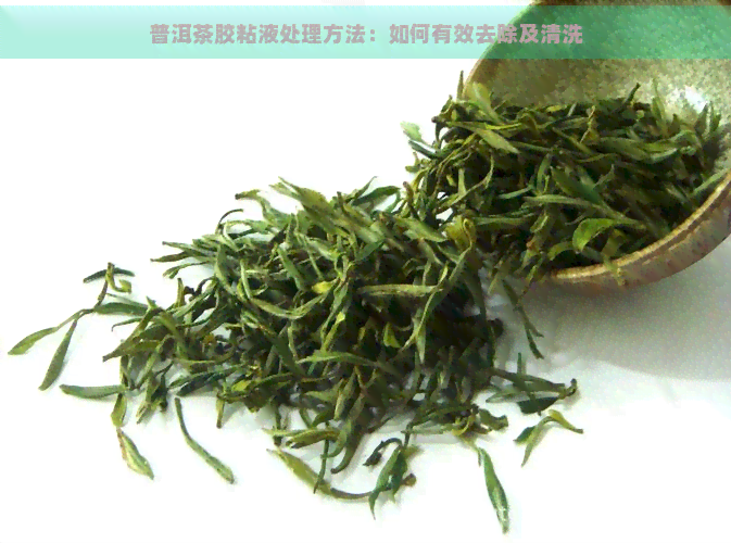 普洱茶胶粘液处理方法：如何有效去除及清洗