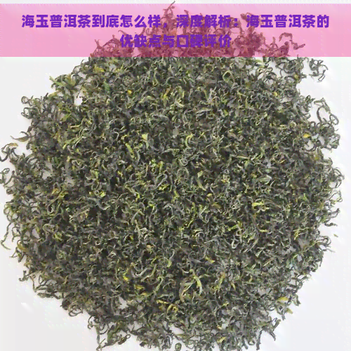 海玉普洱茶到底怎么样，深度解析：海玉普洱茶的优缺点与口碑评价