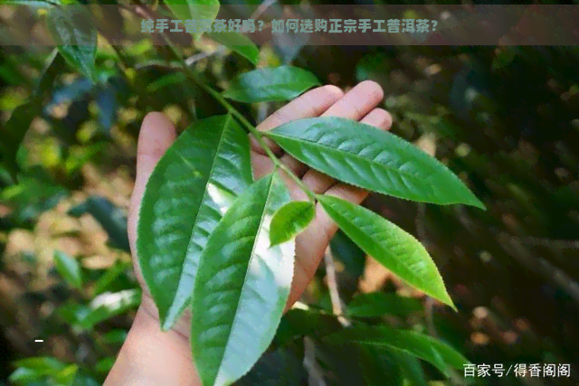 纯手工普洱茶好吗？如何选购正宗手工普洱茶？