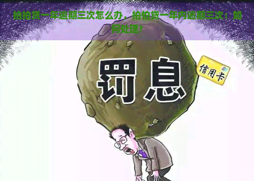 一年逾期三次怎么办，拍怕贷一年内逾期三次：如何处理?