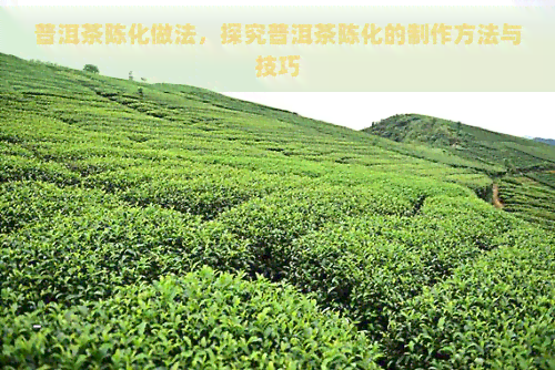 普洱茶陈化做法，探究普洱茶陈化的制作方法与技巧