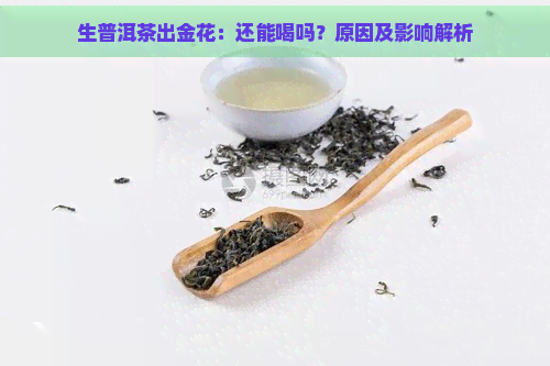 生普洱茶出金花：还能喝吗？原因及影响解析