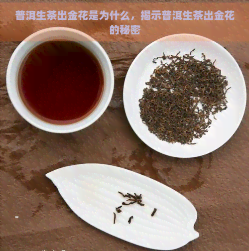 普洱生茶出金花是为什么，揭示普洱生茶出金花的秘密