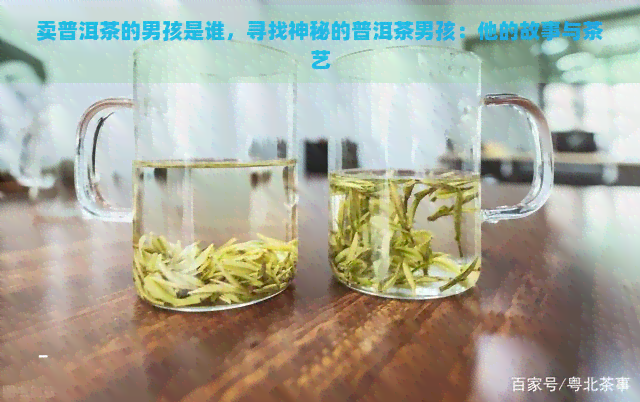 卖普洱茶的男孩是谁，寻找神秘的普洱茶男孩：他的故事与茶艺