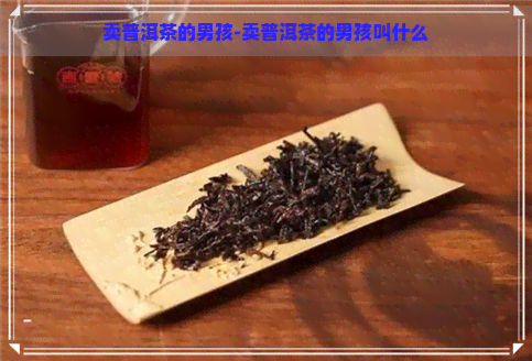 卖普洱茶的男孩-卖普洱茶的男孩叫什么