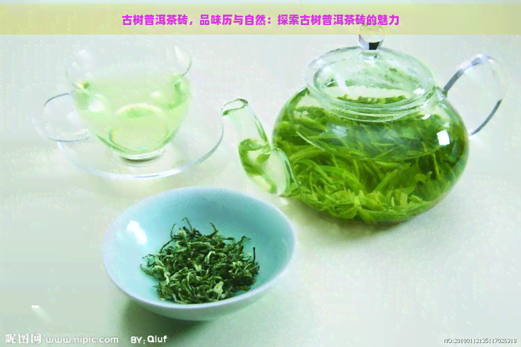 古树普洱茶砖，品味历与自然：探索古树普洱茶砖的魅力