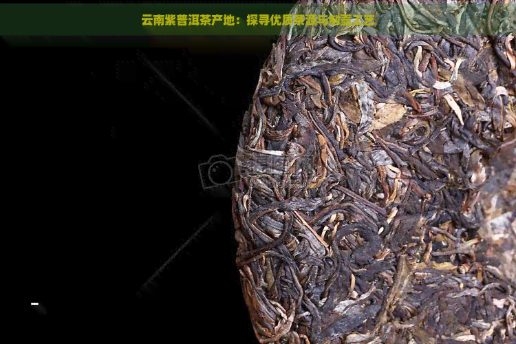 云南紫普洱茶产地：探寻优质茶源与制壶工艺