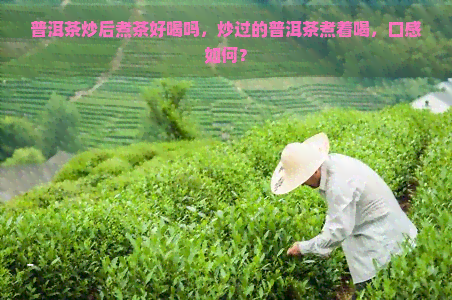 普洱茶炒后煮茶好喝吗，炒过的普洱茶煮着喝，口感如何？