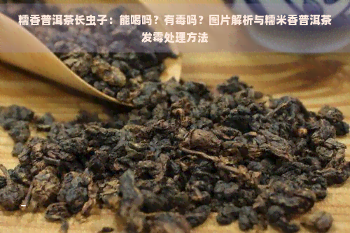 糯香普洱茶长虫子：能喝吗？有吗？图片解析与糯米香普洱茶发霉处理方法