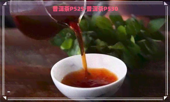 普洱茶P525-普洱茶P530