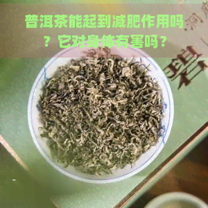 普洱茶能起到减肥作用吗？它对身体有害吗？